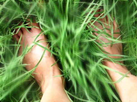 green Grass feet