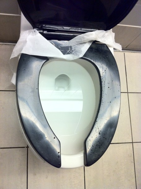 toilet seat