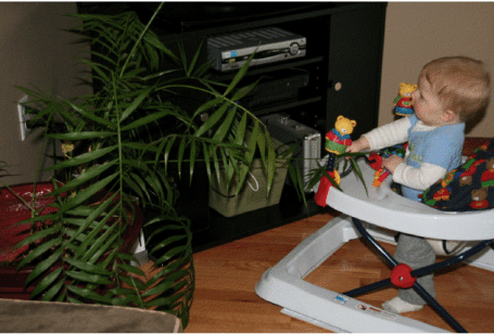 baby pulling on plant