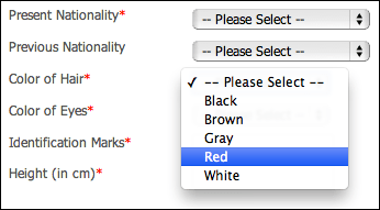 nigerian_visa_no_blonde